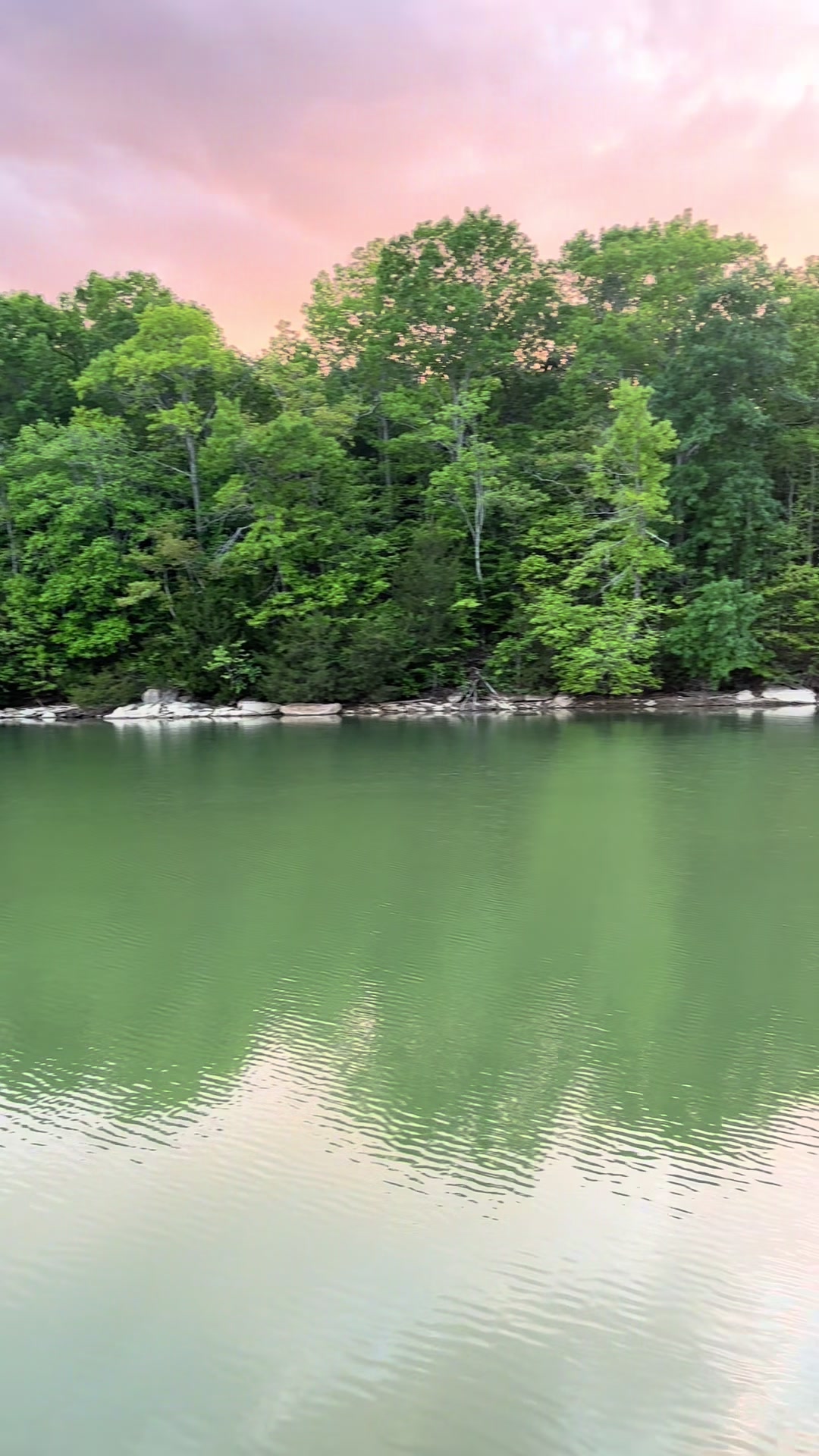@Misty~Alabama Realtor