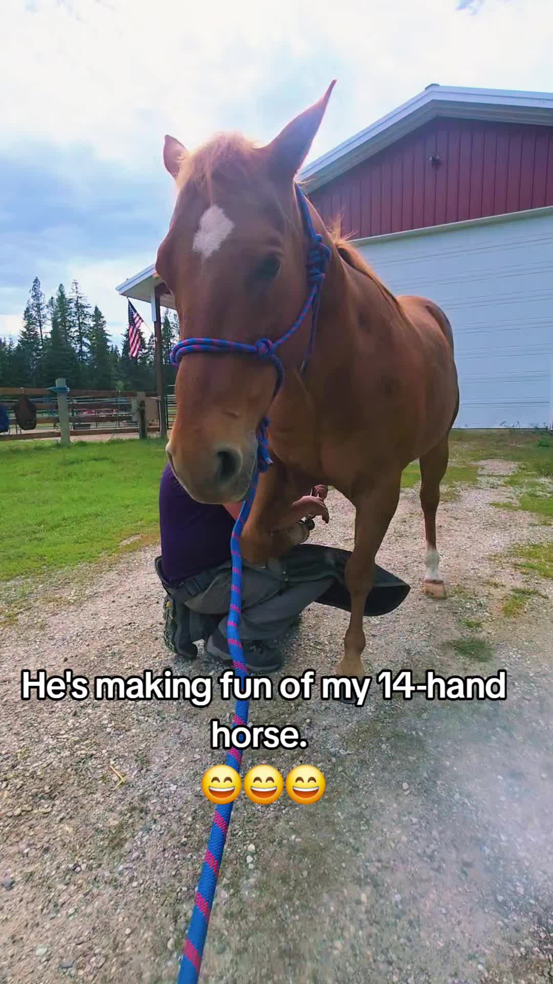 @🐴 ColdMountainRanch 🏇