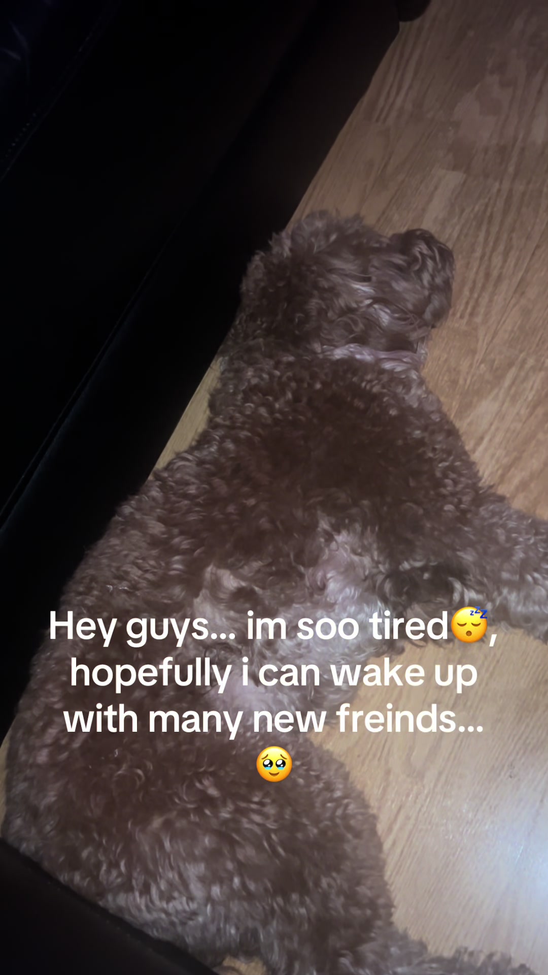 @Goldendoodlelover
