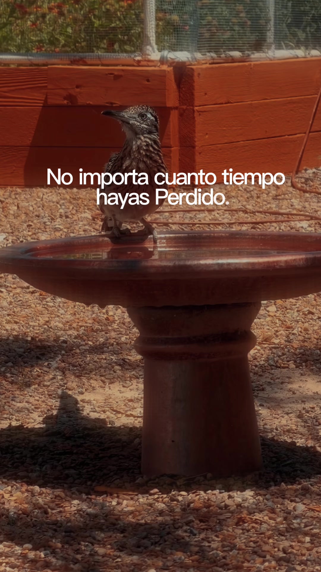 @Vero