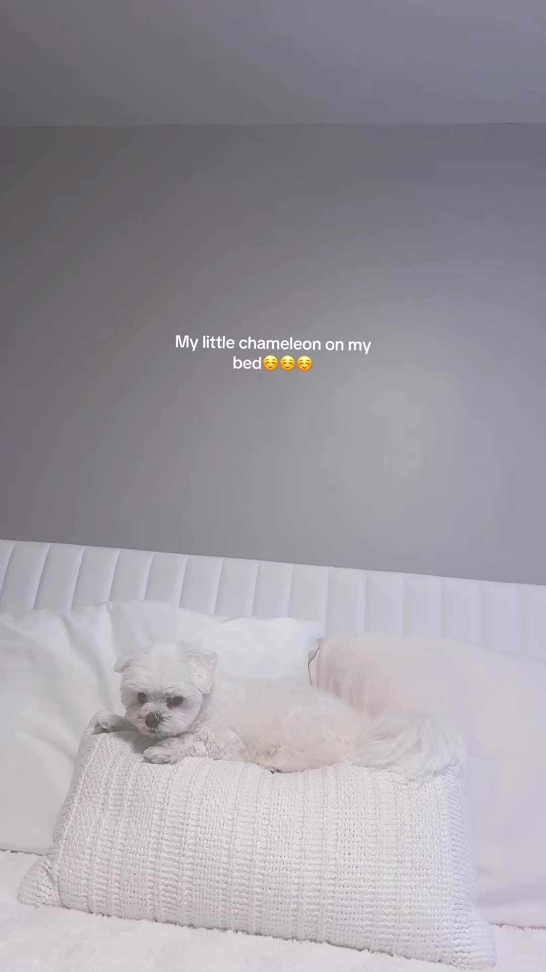 @eri