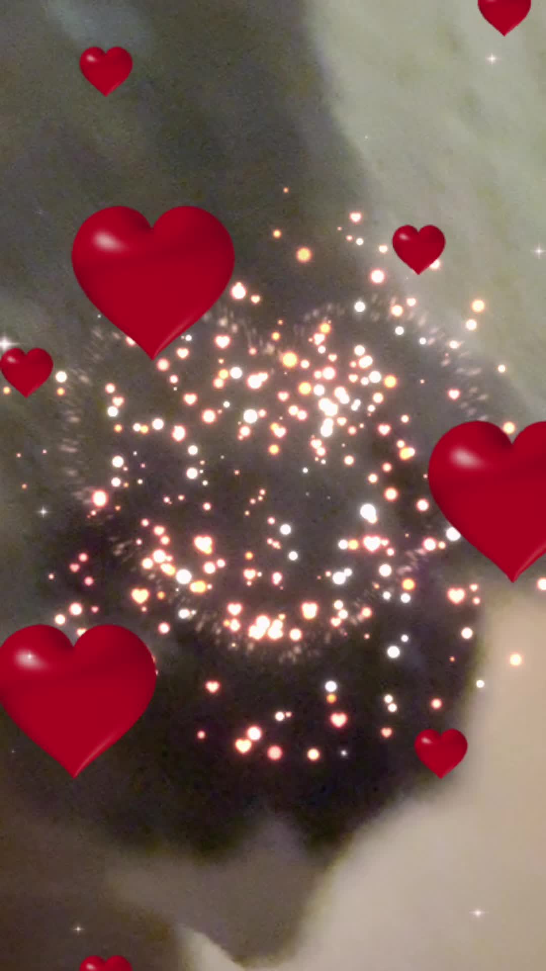 @zule,💕💞💞💕💕