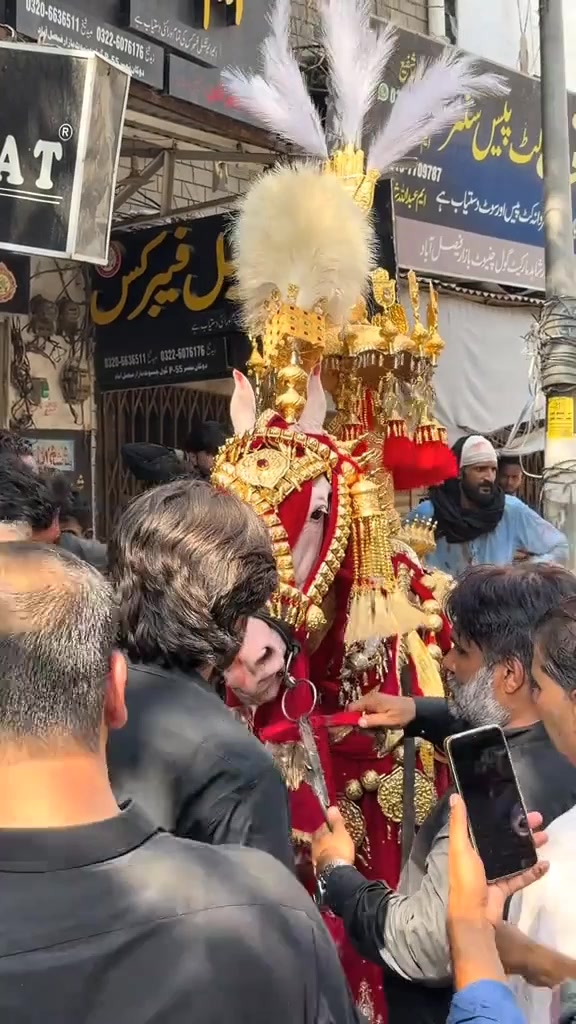 @✨رانا فرحان علی❤