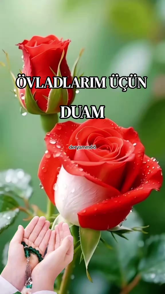 @.•° ✿ °•. 𝓓𝓮𝓻𝔂𝓪 °•. ✿ .•°
