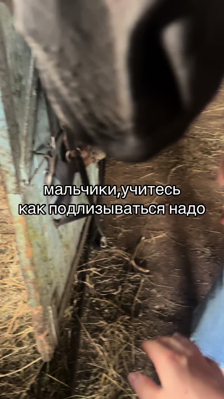 @Ли🐴