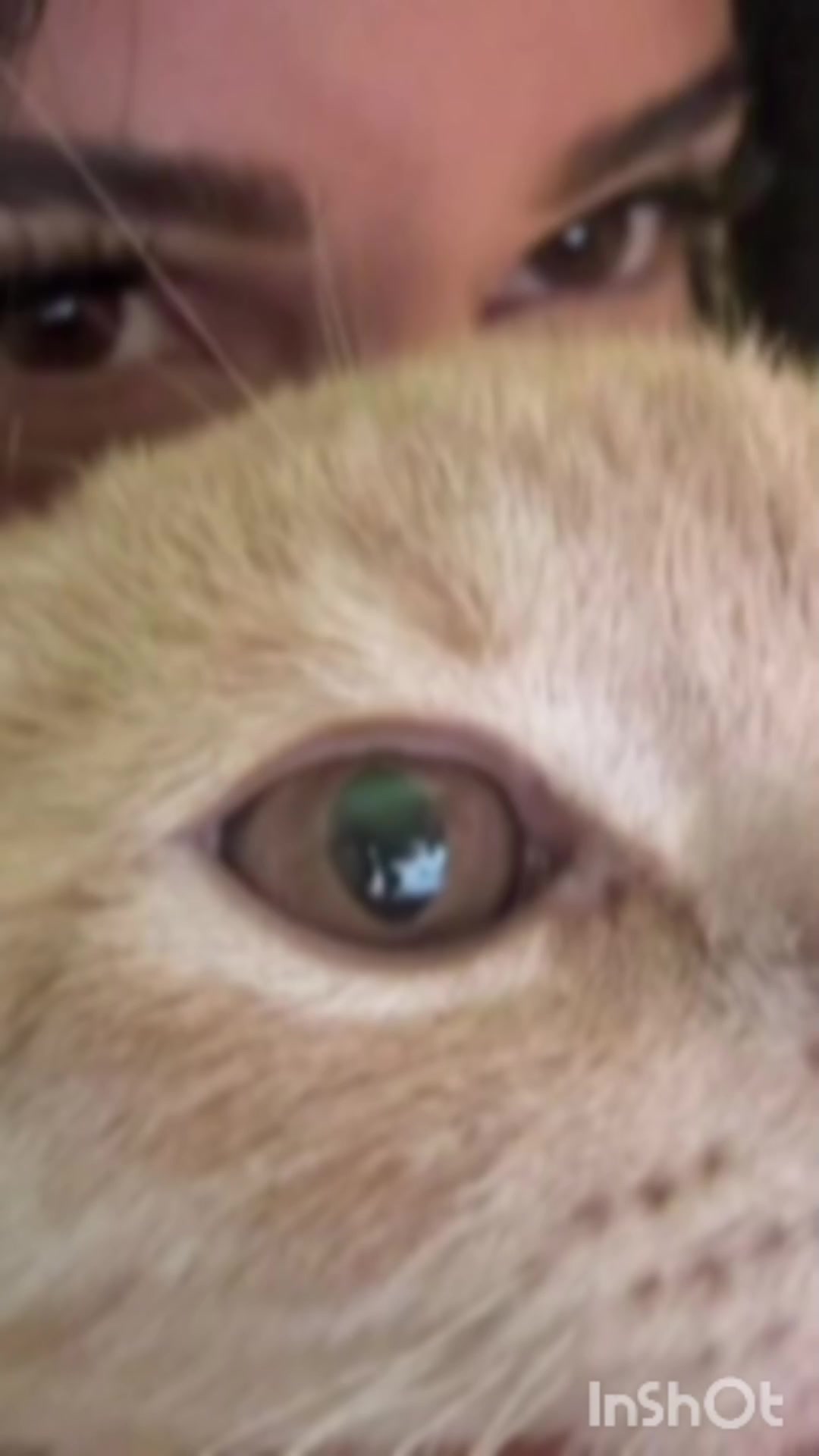 @๐๐ถ๐ฒ"๐ป๐ช๐โ