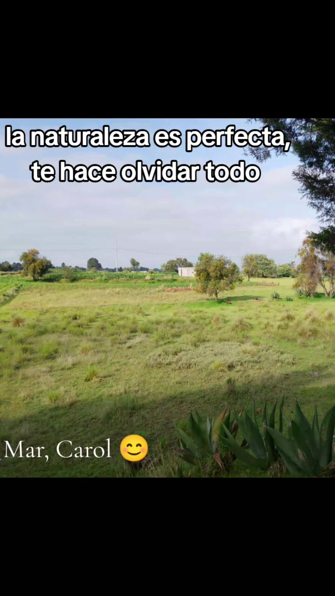 @@Mar,carol