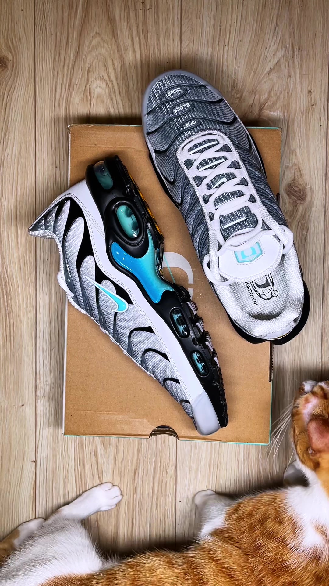 @Shoeter
