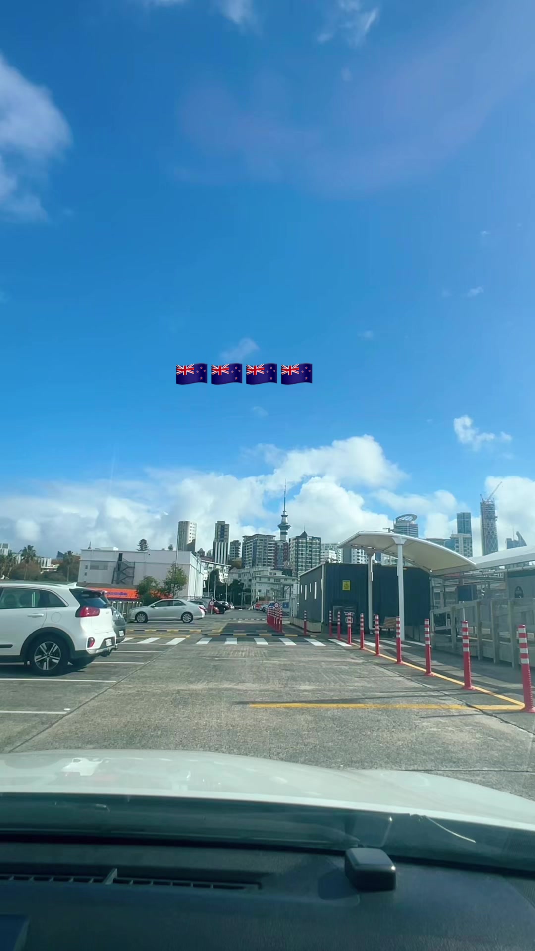 @Auckland wale