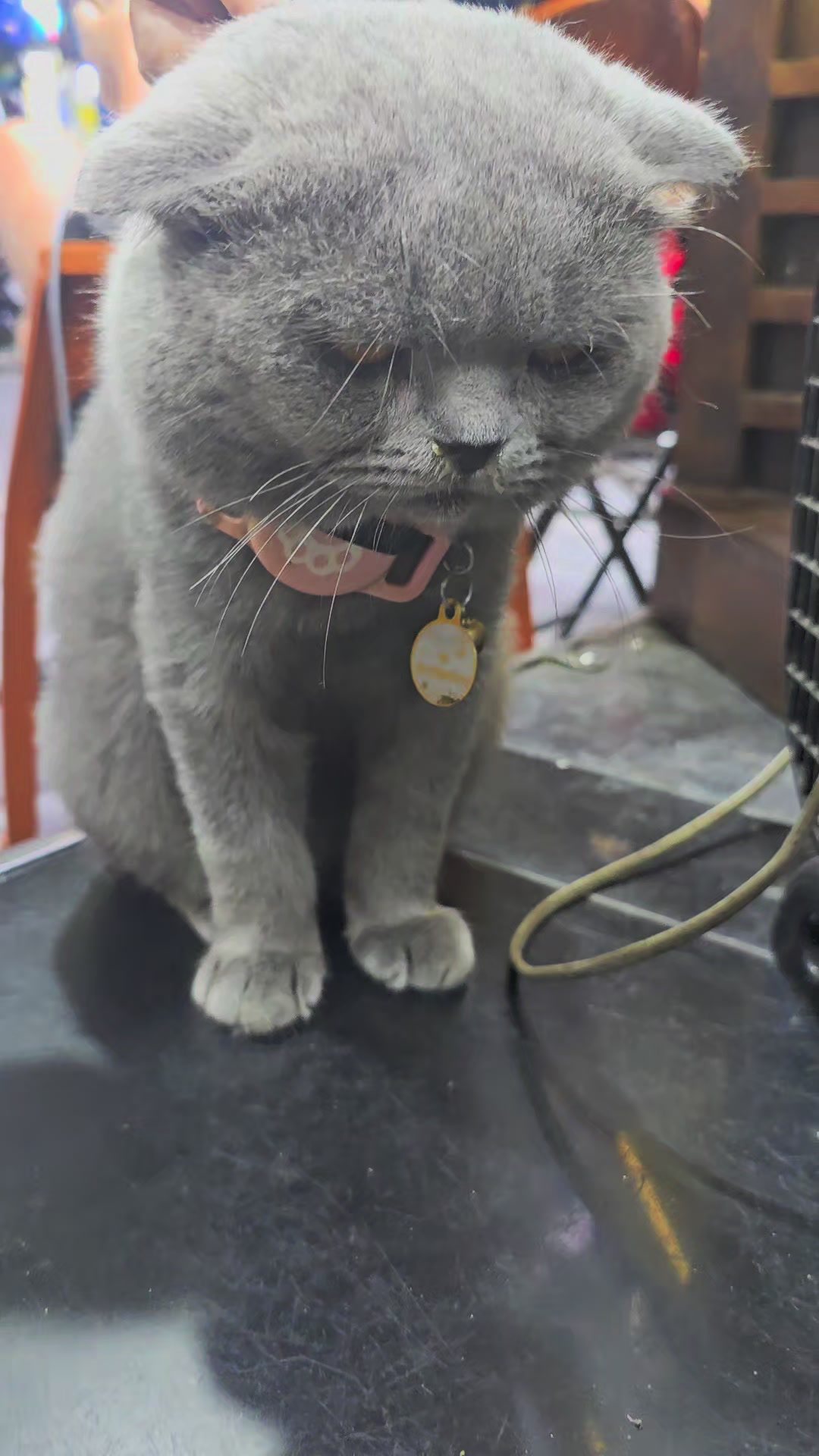 @오아시스