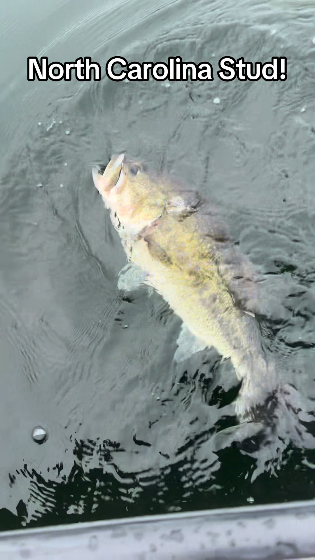 @evan_whitefishing