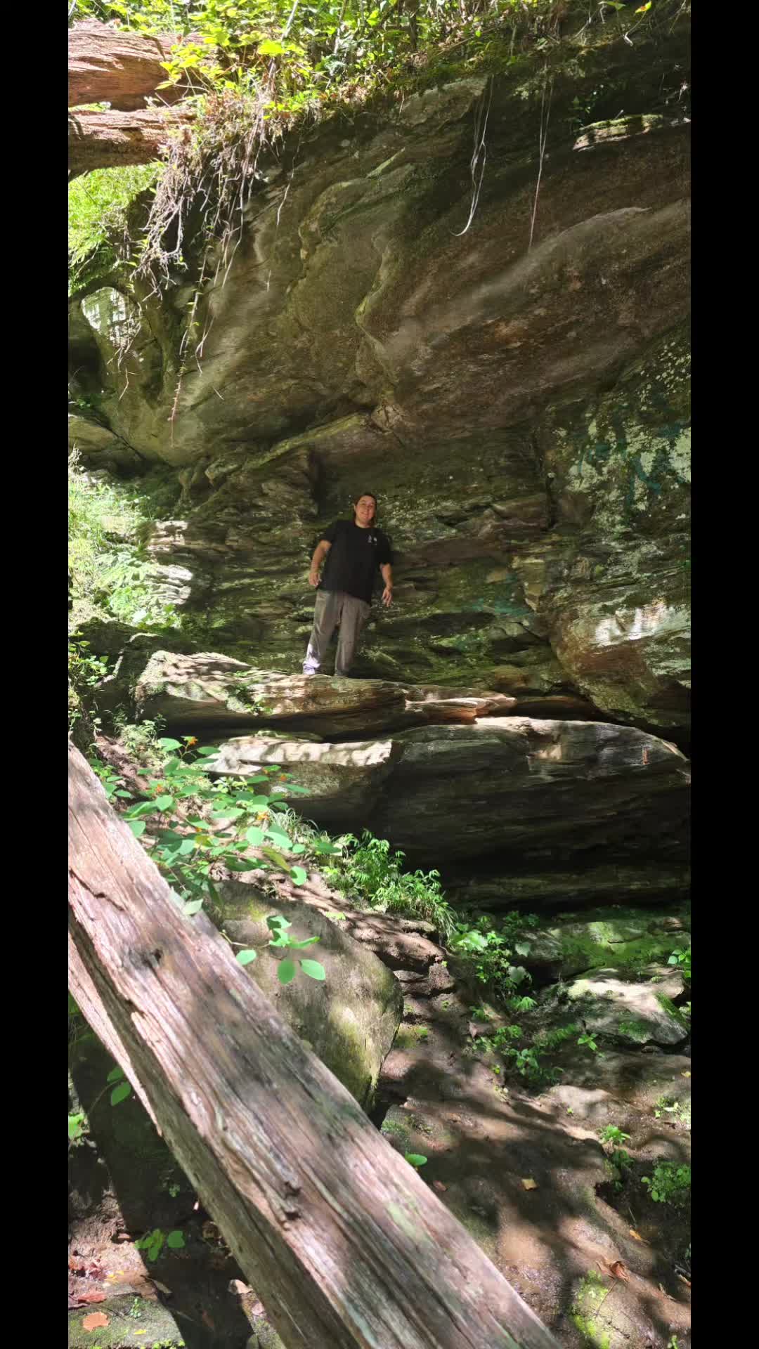 @tylerdyrden1920