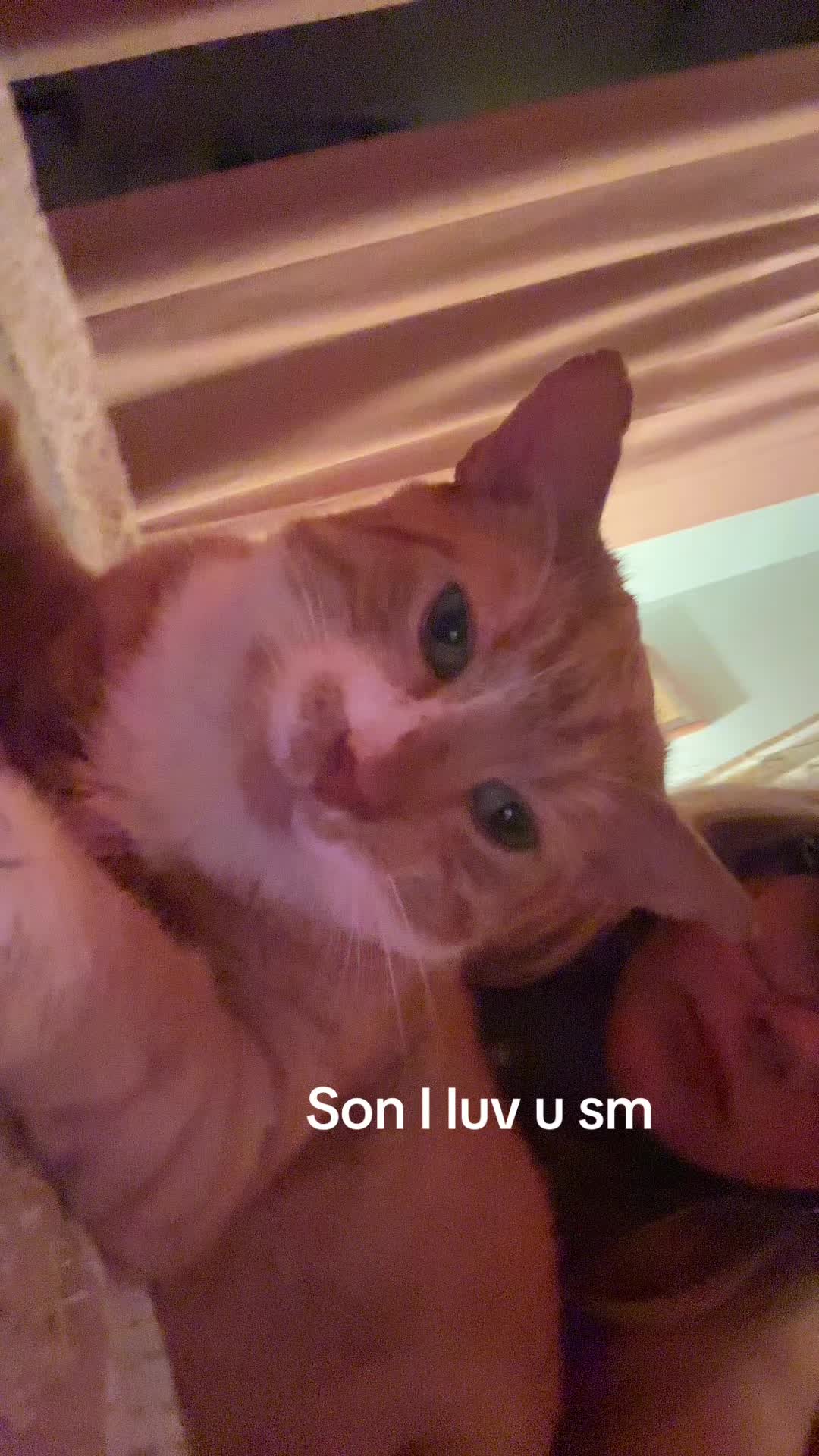 @mira!
