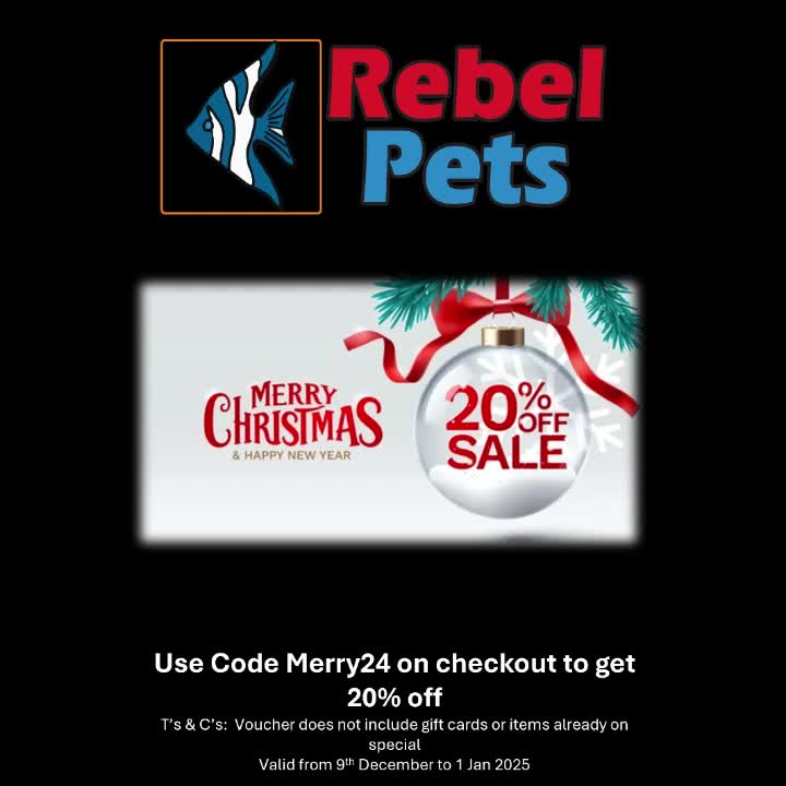 @Rebel Pets 🐠