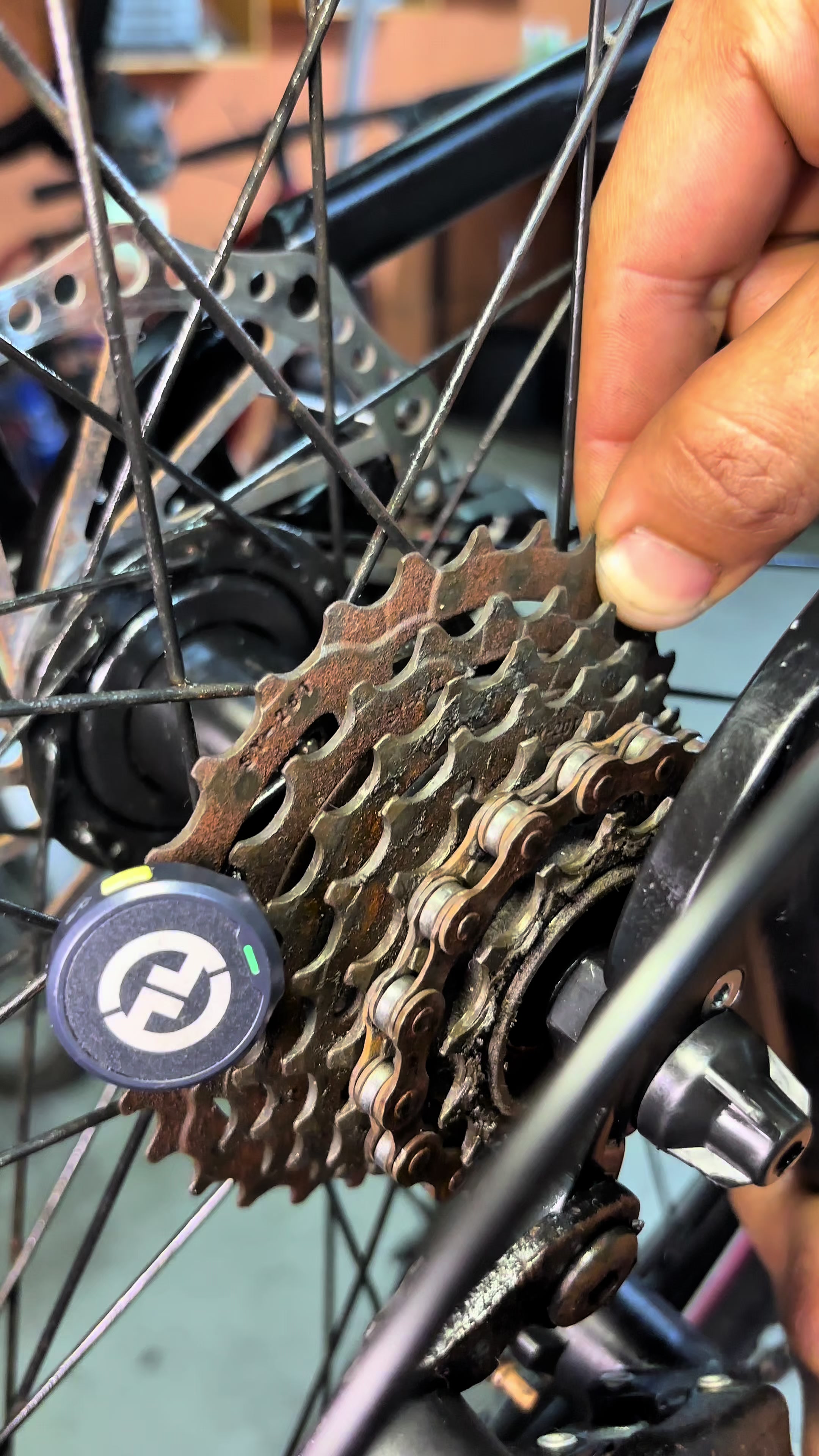 @TerraBike