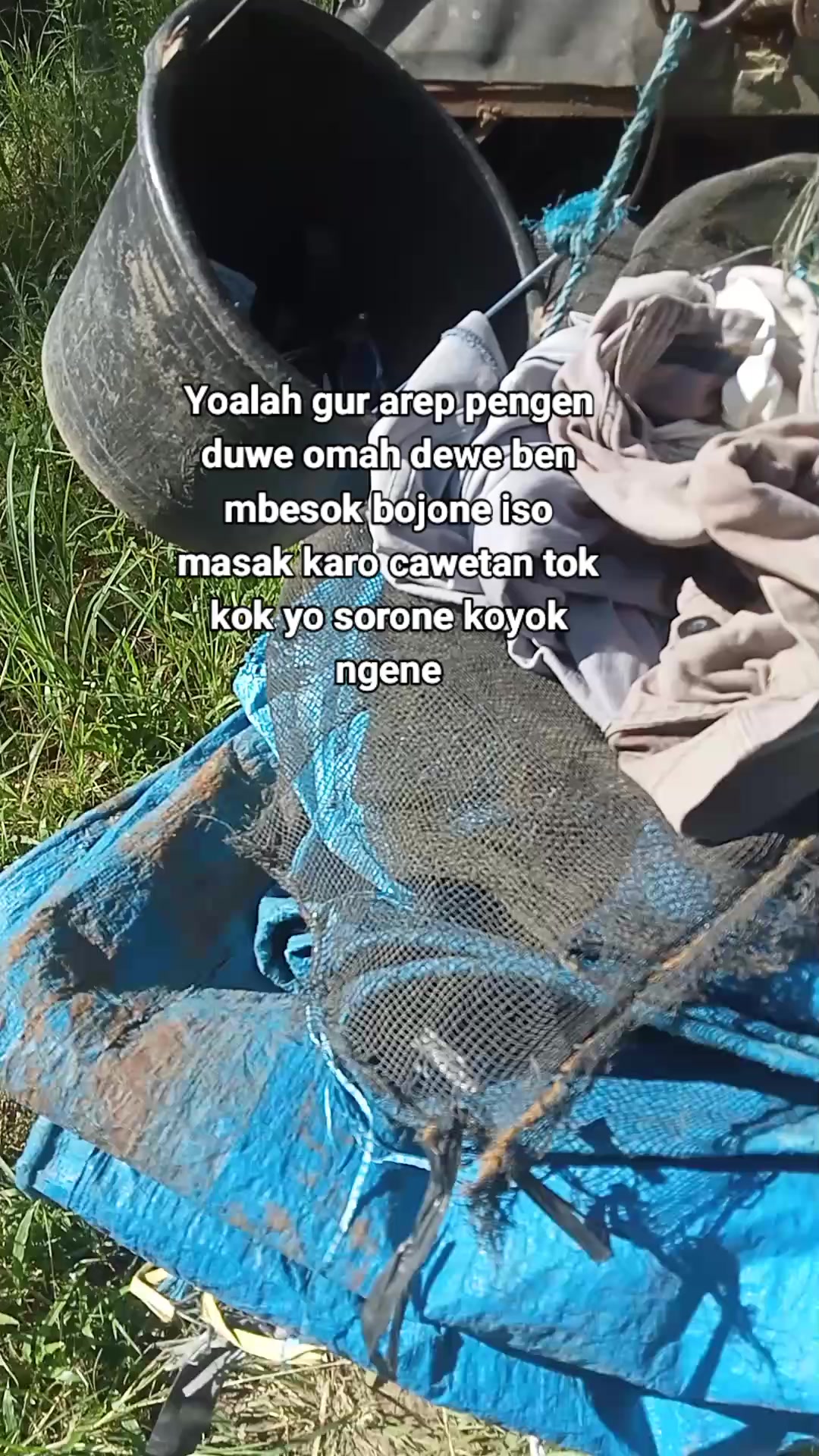 @cebonk