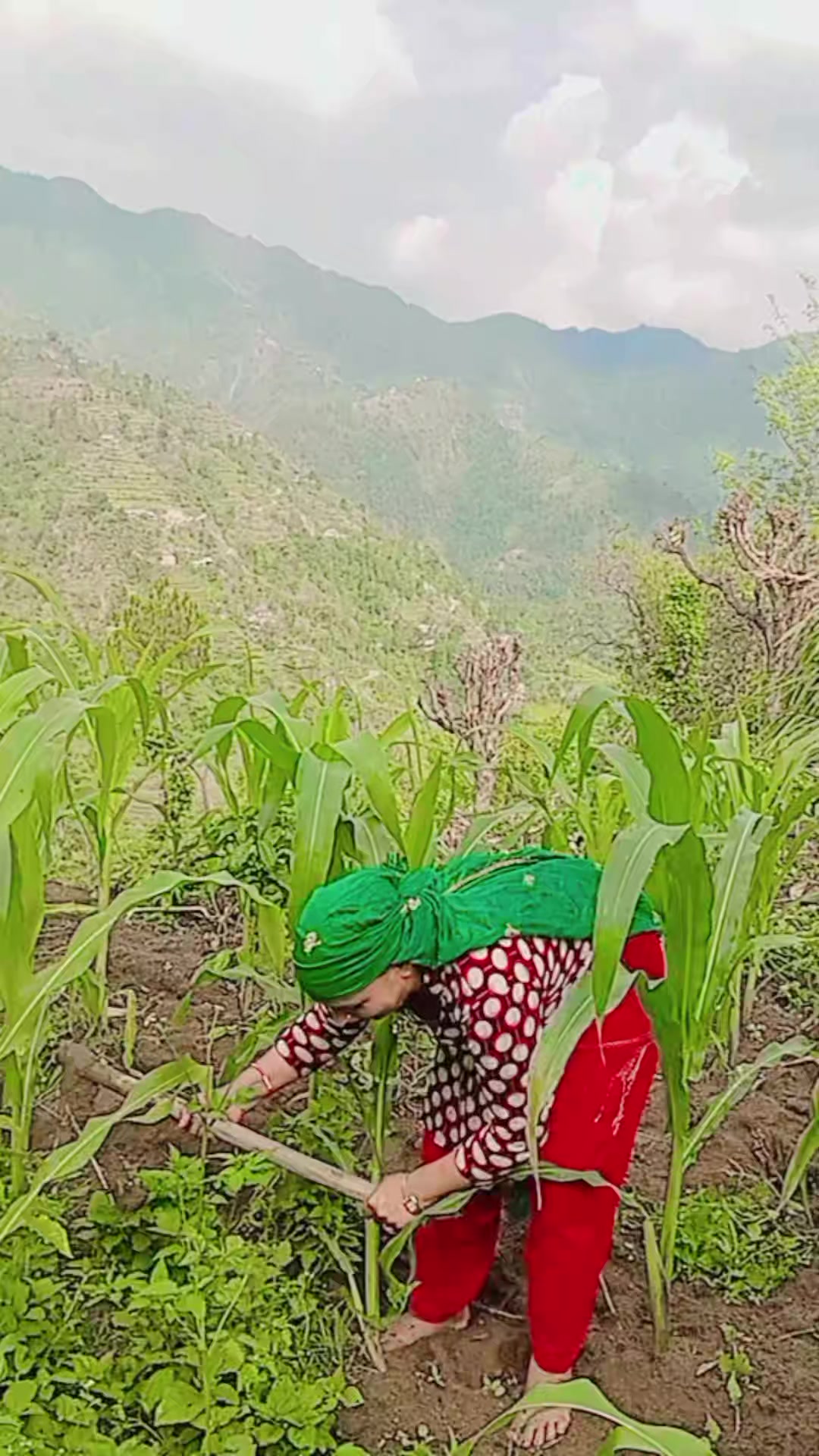 @Bhawani Banjara