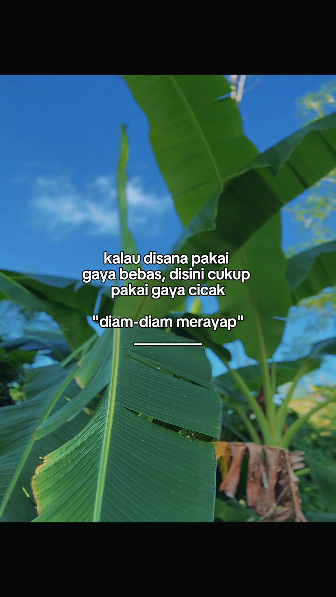 @INTROVERT