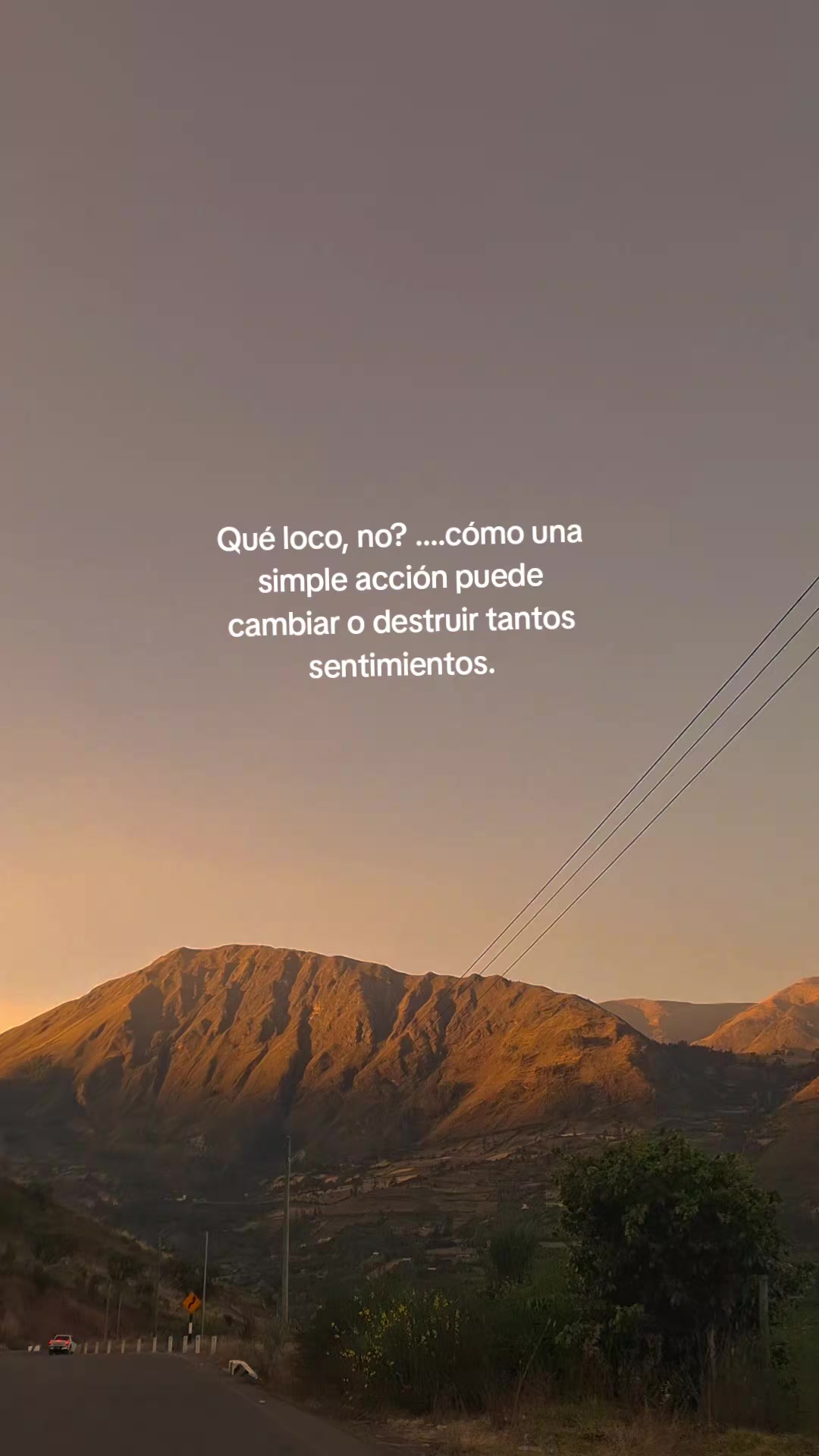 @🦋Cielo🦋