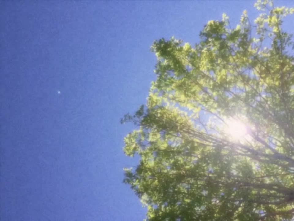 @𝘿𝙄𝙂𝙄𝙏𝘼𝙇𝙄𝙎