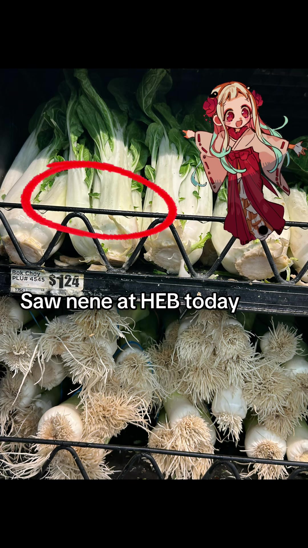 @༻ 𝓜𝓮𝓲𝓹𝓵𝓮 ༺