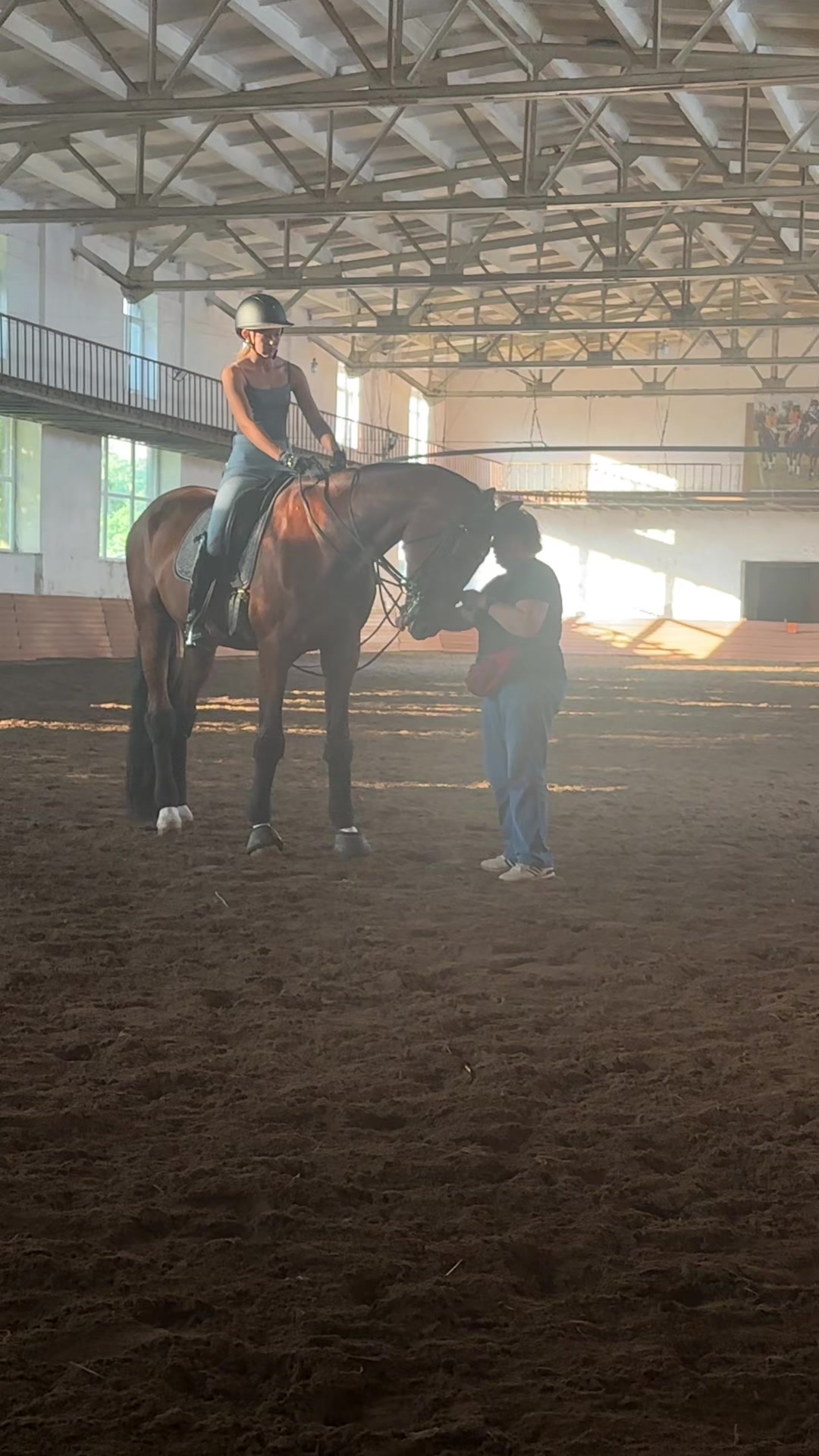 @“KK”Golden Horses