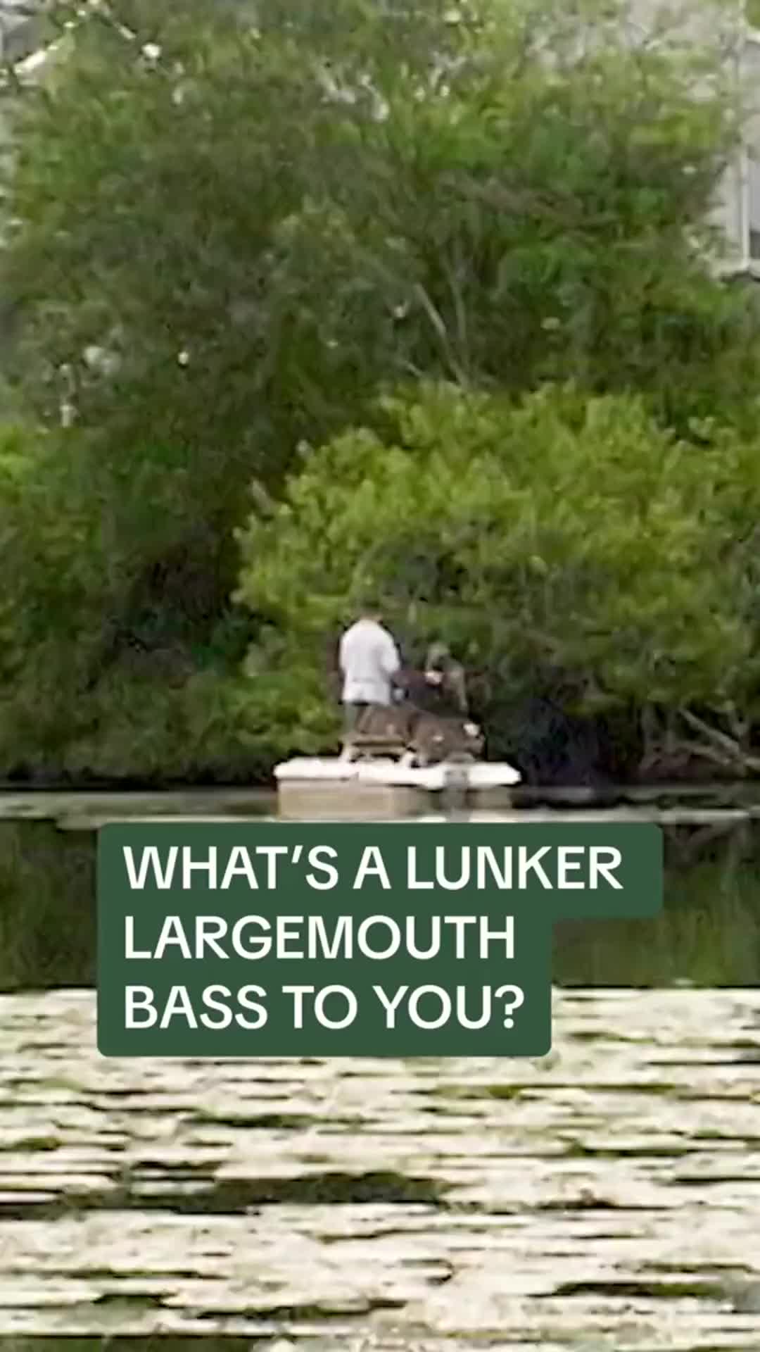 @Lunkerville