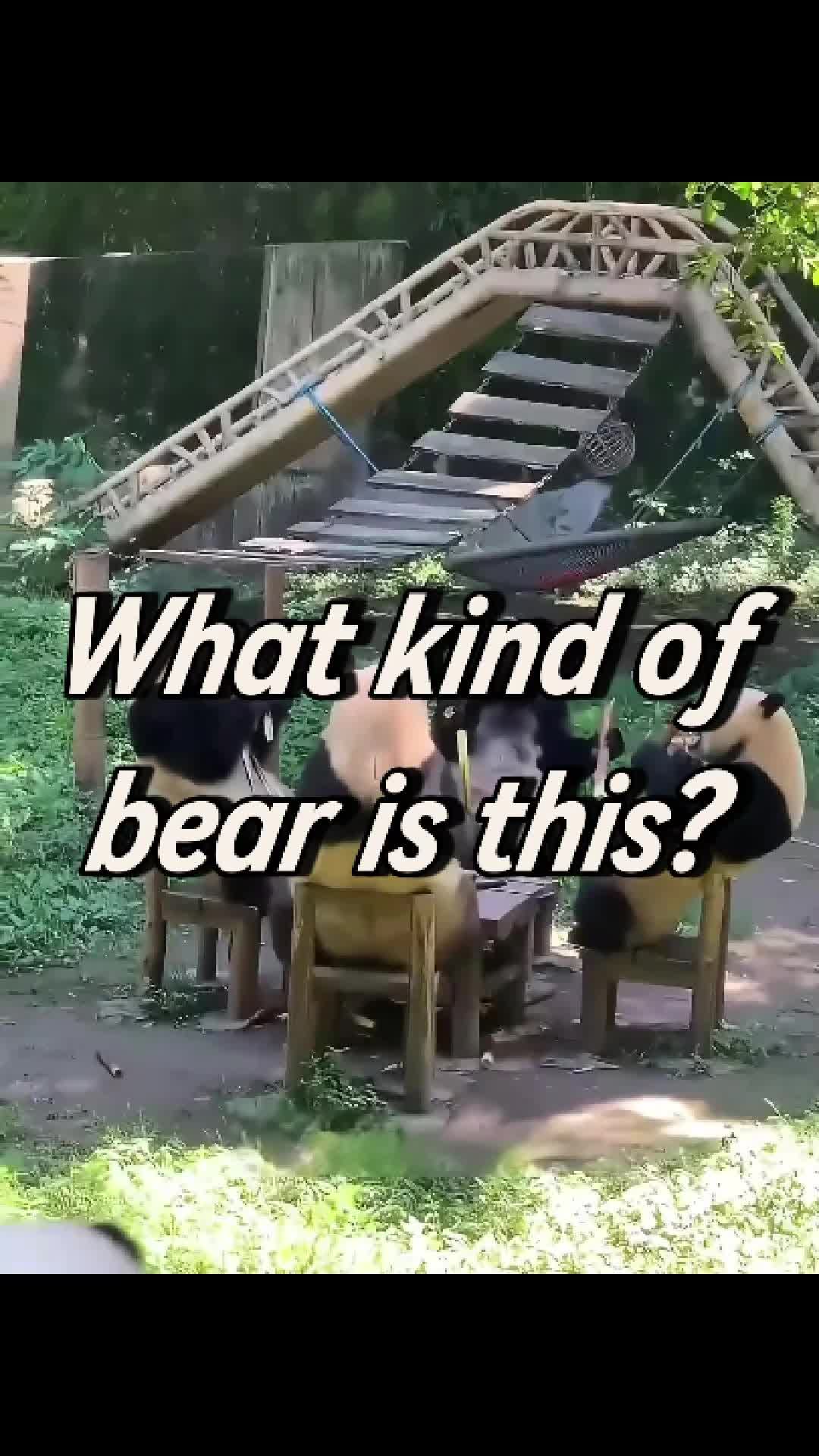 @brownyang3