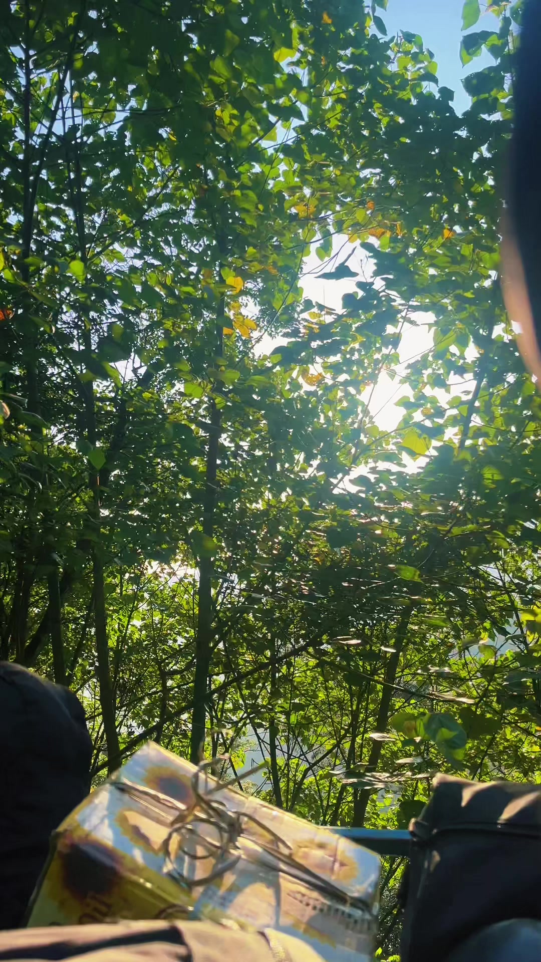 @Prayashbhujel_16🧤
