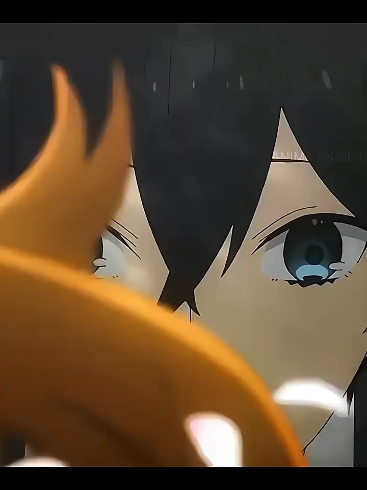 @ANIME KNIGHT ✨