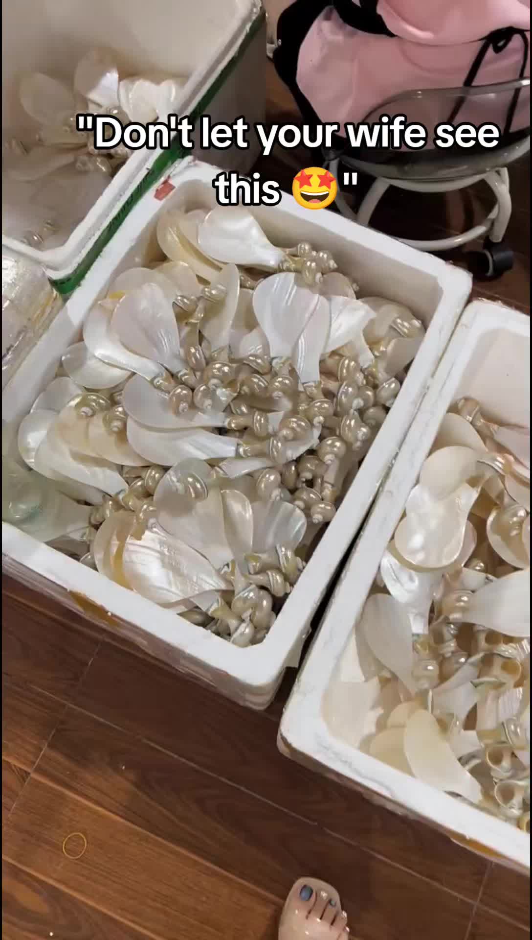 @Safe finds