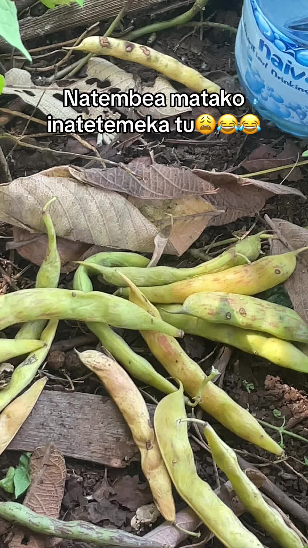 @MAkENa.