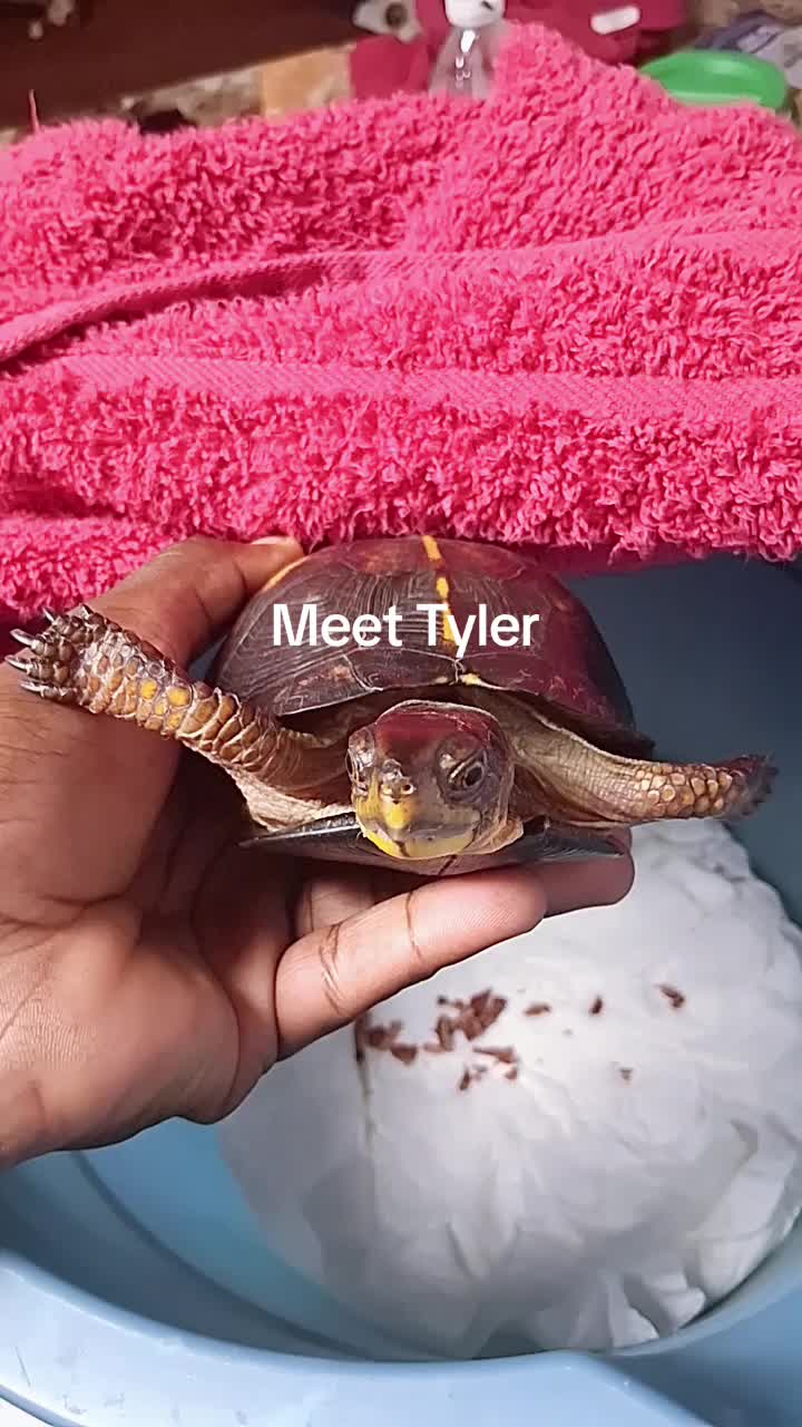 @No_Ctrl