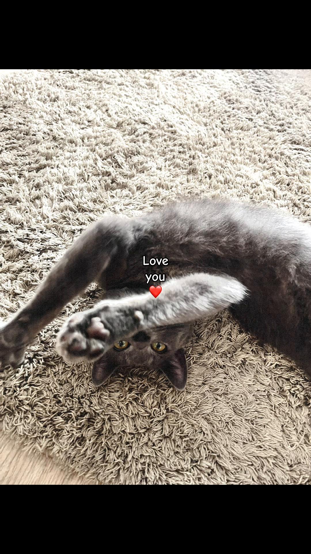 @ 