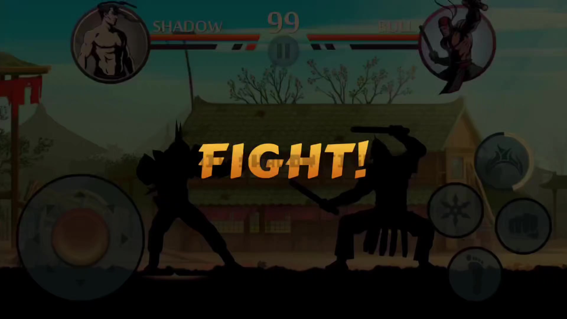 @Amir Shadow Fight