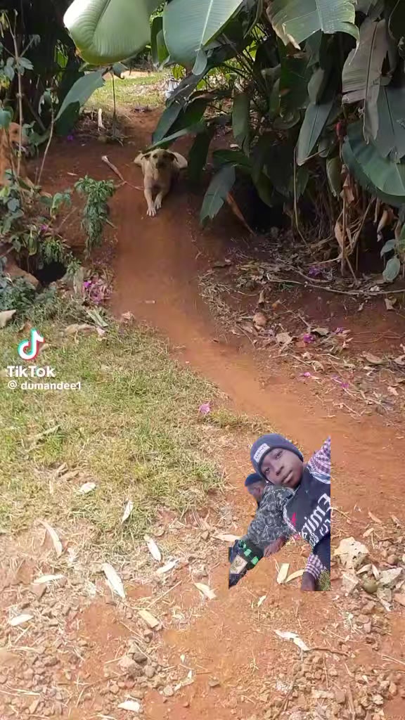 @kkkk