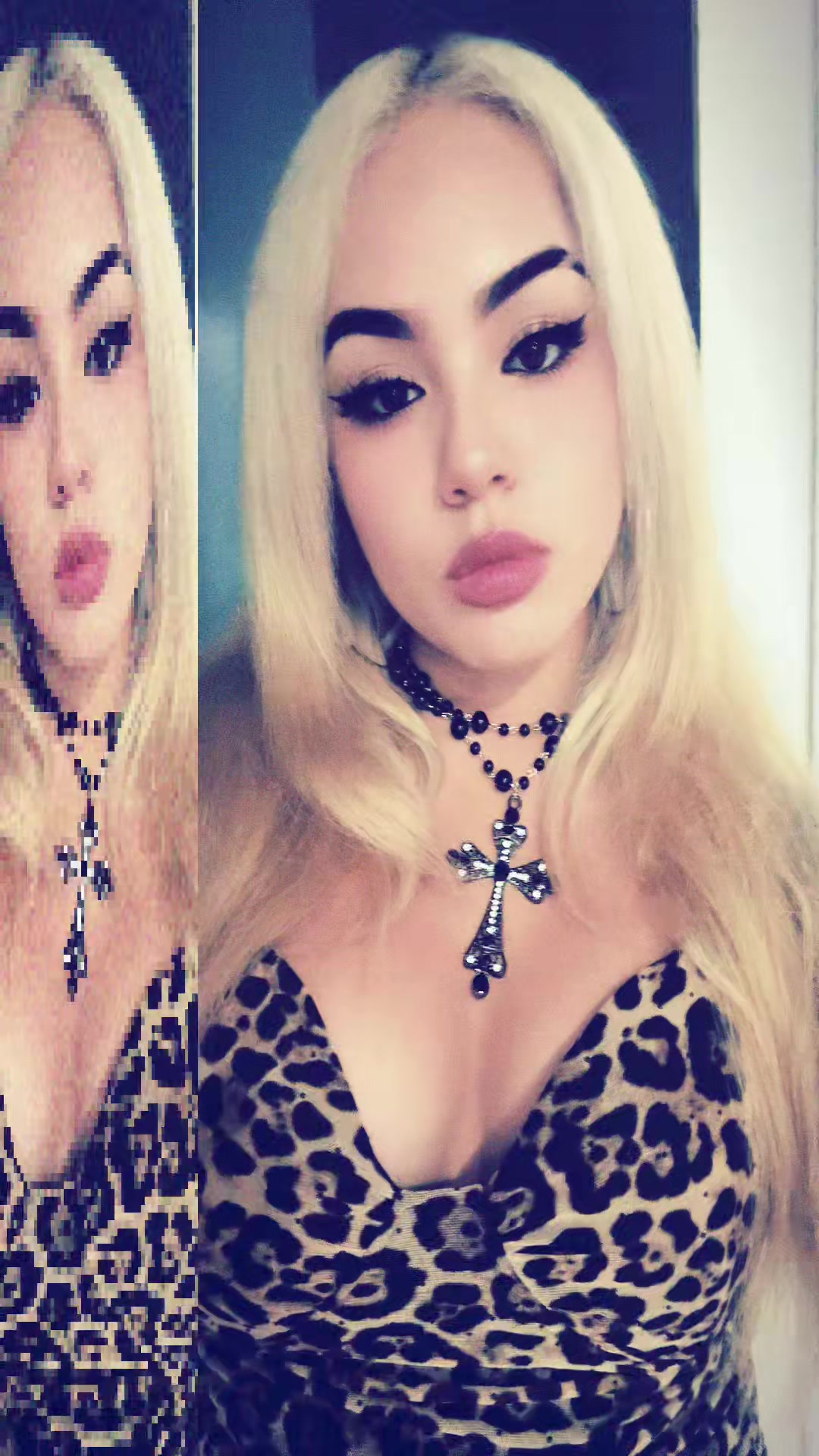 @arizstocat