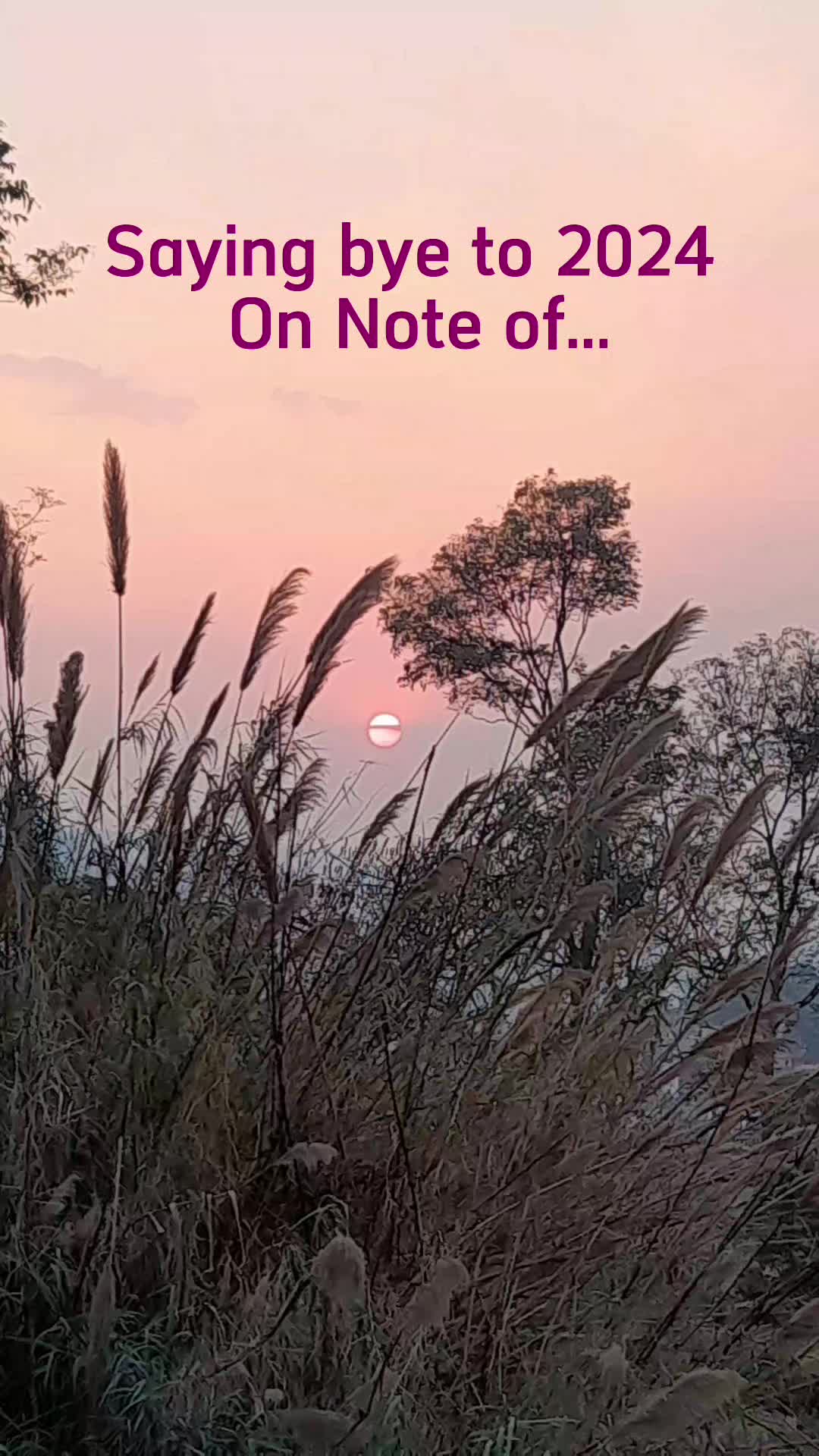 @dcaayusha