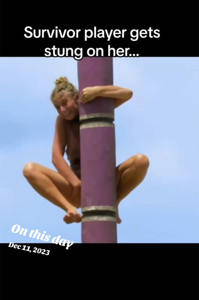 @All Winners Survivor CBS 🏝