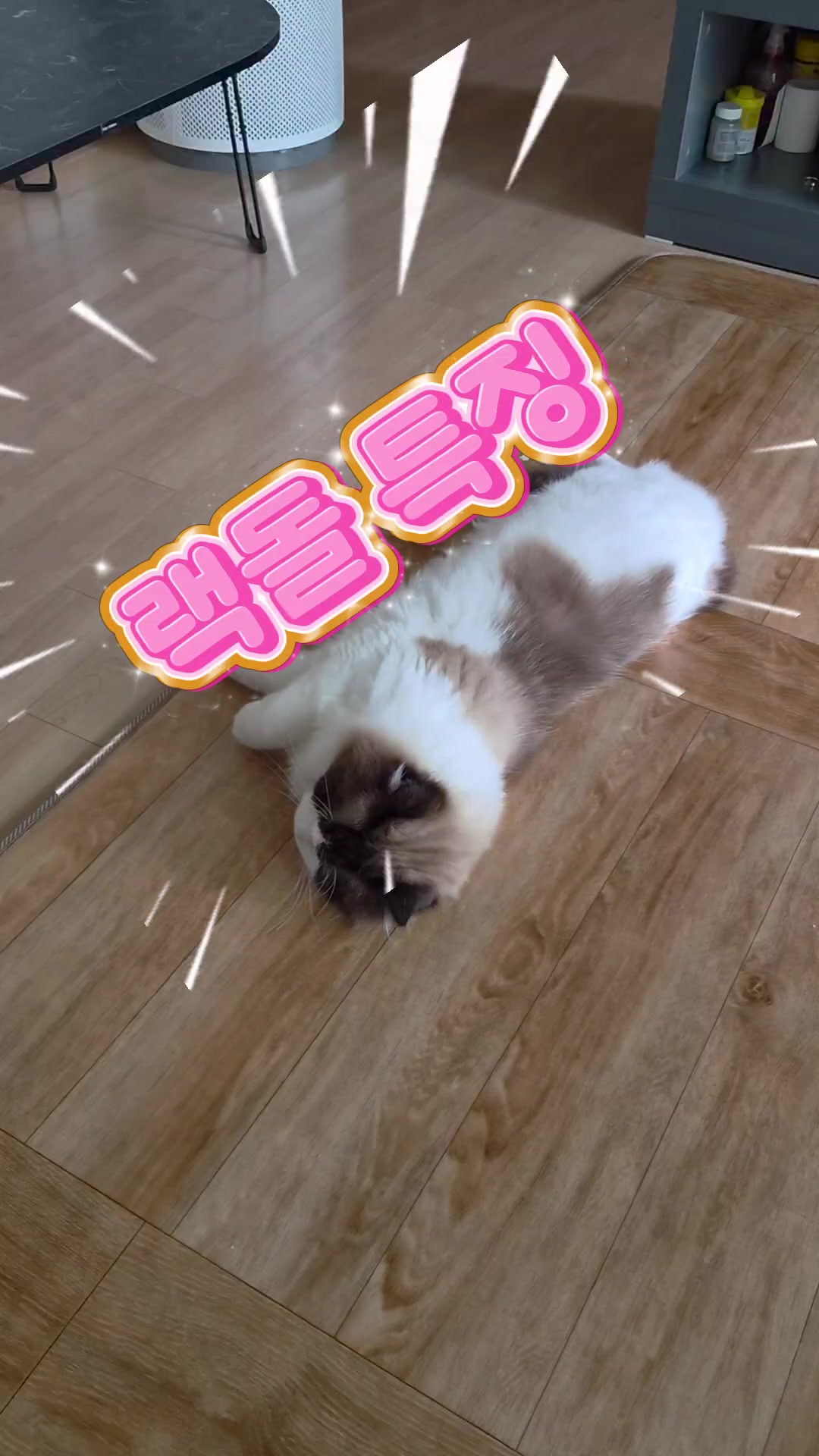 @ddoong2(๋ฑ์ด)