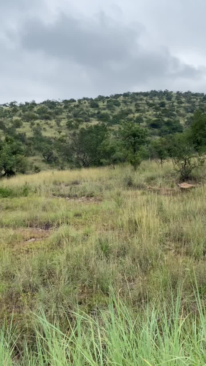@Sisi Wenu🇿🇦