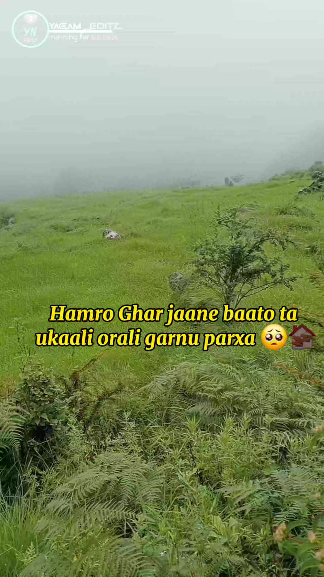 @Min Tamang