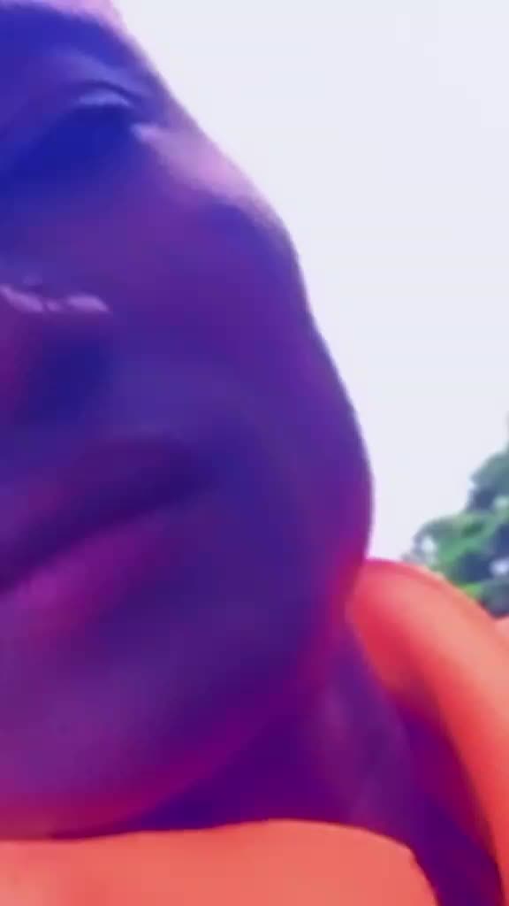 @Apogi
