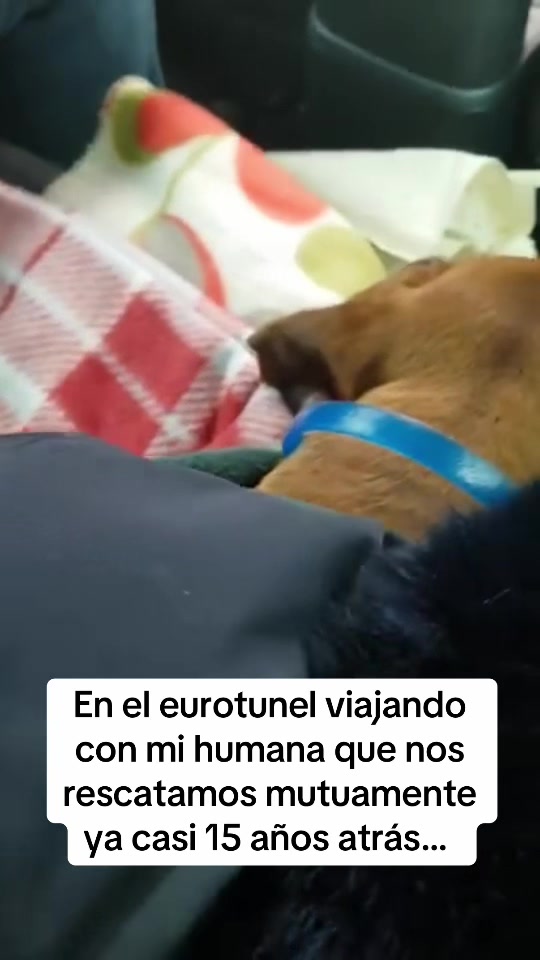 @Chilena Petite