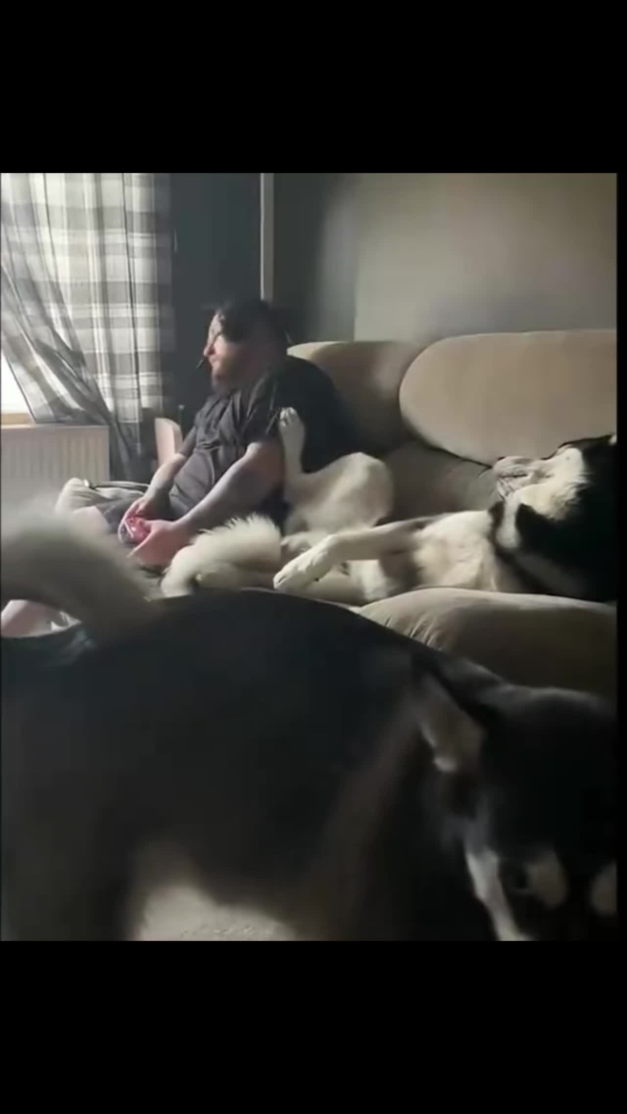 @wild_animal123
