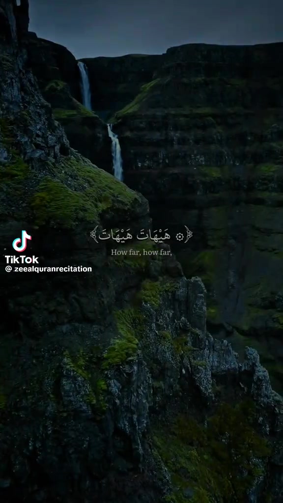 @نوكتك ستريم سنايب