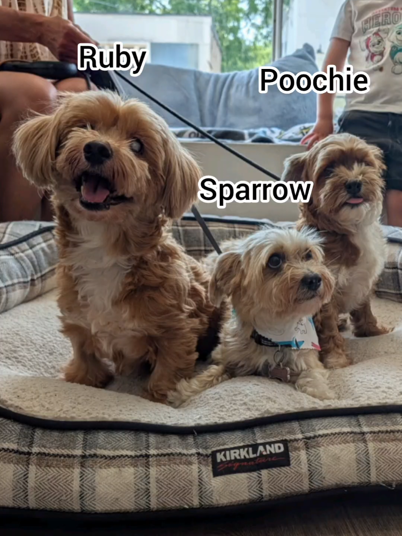 @BuddyandMikes Pal