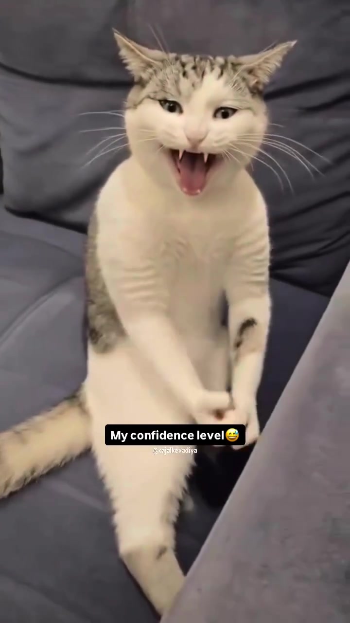 @Kajal