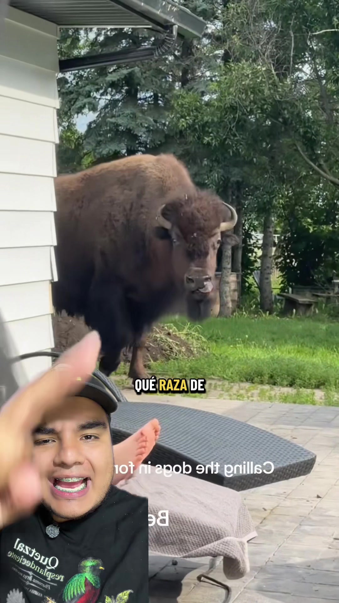@Jair Herrera 🐆