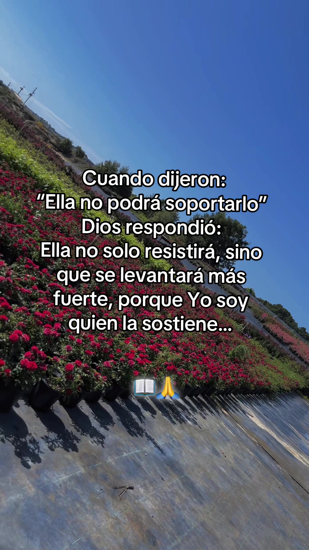 @Aitana🥰